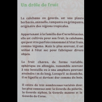 Calebasse (1)